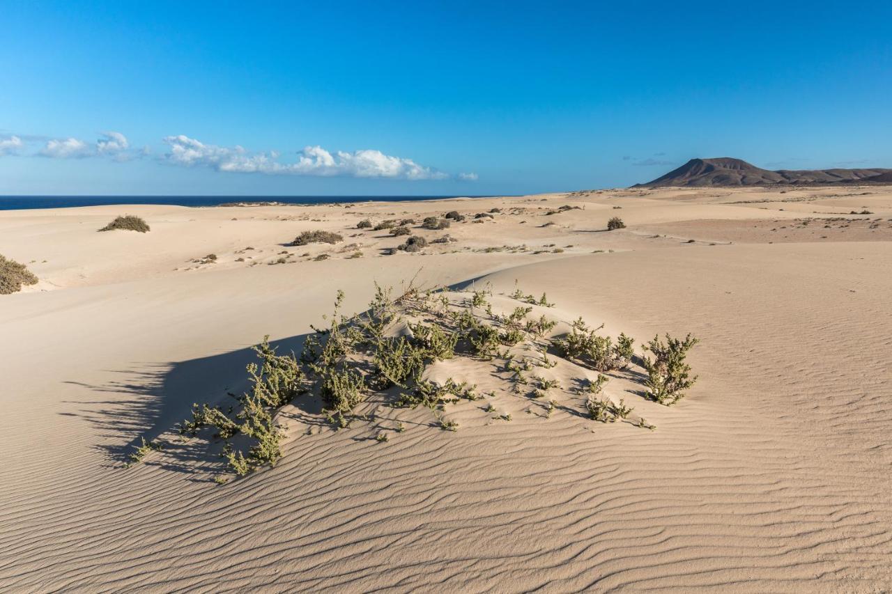 Home2Book Charming Sun & Dunes Apartment Corralejo Exteriör bild